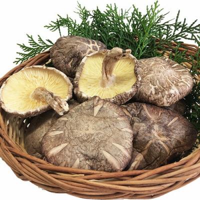 ふるさと納税 玖珠町 大分産椎茸こうしん 300g(50g×6袋)_2