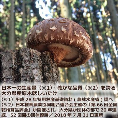 ふるさと納税 玖珠町 大分産椎茸こうしん 300g(50g×6袋)_3