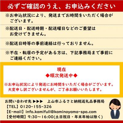 ふるさと納税 上山市 かみのやまシュー　12個　0048-2506 |  | 03
