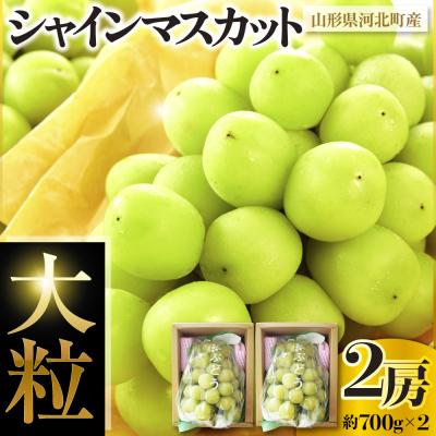 ふるさと納税 河北町 令和8年産[はじまり農園 うの]大粒 シャインマスカット2房(約700g×2房) 山形県河北町産