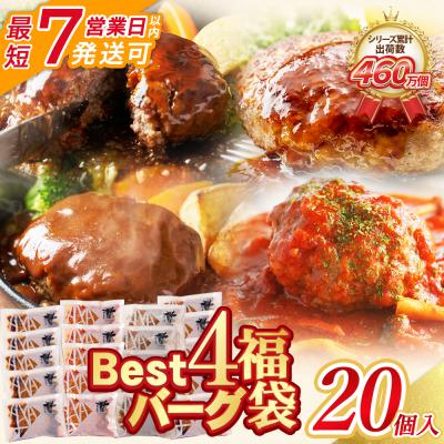 ふるさと納税 福智町 [7営業日以内発送] Best4バーグ ハンバーグ 20個セット(合挽4種 各5個)