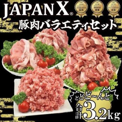ふるさと納税 蔵王町 &lt;蔵王町産&gt;JAPAN X 豚肉バラエティセット 3.2kg [04301-0366]