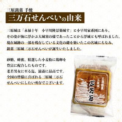 ふるさと納税 三原市 三万石せんべい 45枚[192-012]