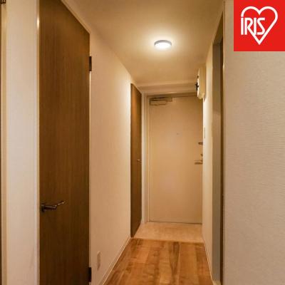 ふるさと納税 角田市 薄型小型シーリングライト 導光板フレームタイプ 750lm 電球色 SCL75L-DU ホワイト