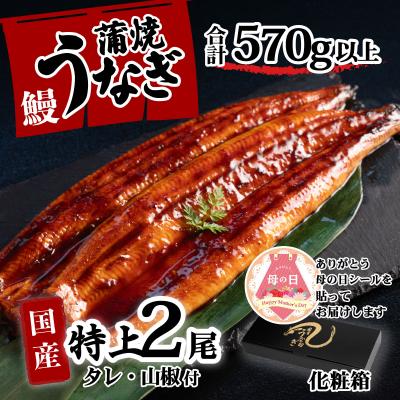 ふるさと納税 八千代町 [母の日][化粧箱]国産 特上うなぎ 蒲焼き 2尾セット <合計570g以上> タレ山椒付き ギフト
