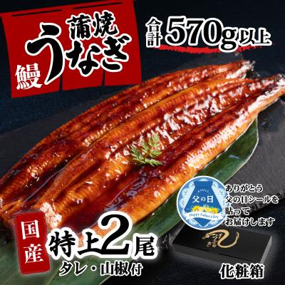 ふるさと納税 八千代町 [父の日][化粧箱]国産 特上うなぎ 蒲焼き 2尾セット <合計570g以上> タレ山椒付き ギフト