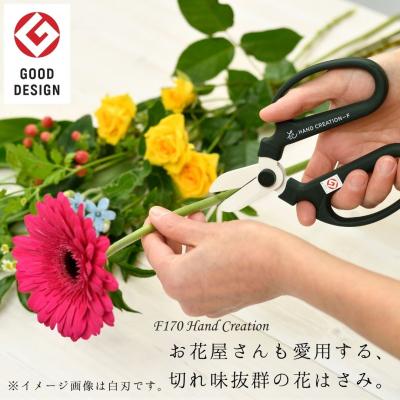 ふるさと納税 三条市 生花はさみ ハンドクリエーションF170黒刃 アトモスグリーン 花鋏 [坂源] 【011S297】_1