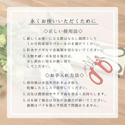 ふるさと納税 三条市 生花はさみ ハンドクリエーションF170黒刃 アトモスグリーン 花鋏 [坂源] 【011S297】_3