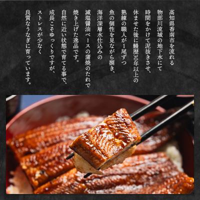 ふるさと納税 香南市 【6回定期便】高知県産養殖うなぎ蒲焼き 約220g×2尾 Wfb-0063_2