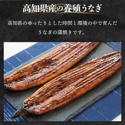 ふるさと納税 香南市 【6回定期便】高知県産養殖うなぎ蒲焼き 100〜120g 3尾 Wfb-0043_1