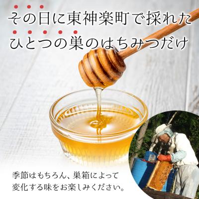 ふるさと納税 東神楽町 【定期便・頒布会】3ヵ月連続お届け!東神楽産採れたまんまの純粋はちみつ 600gの画像