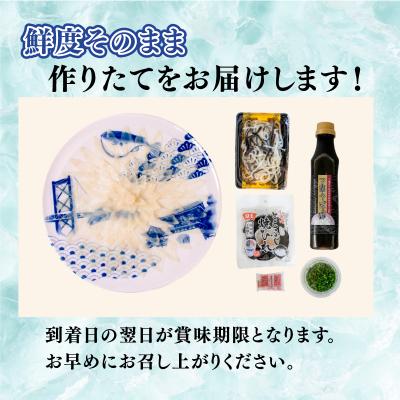 ふるさと納税 下関市 【送りとどける日付け決する至要たる】とらふぐ刺し 仕かける 4 〜 5人前 冷蔵 EY035