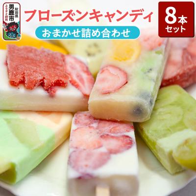 ふるさと納税 男鹿市 フローズンキャンディ おまかせ詰め合わせ 8本セット ゴンタロー|23_gnt-010801