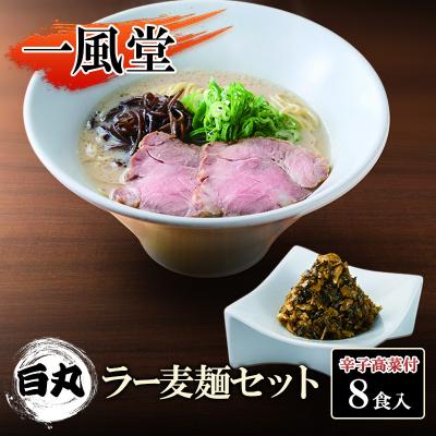 ふるさと納税 小郡市 一風堂 白丸 ラー麦麺辛子高菜セット 8食入 豚骨ラーメン ラーメン[No5354-2145]