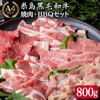 ふるさと納税 糸島市 焼肉・バーベキューセット 計800g 牛モモ 牛バラ 豚バラ 豚肩ロース 鶏もも肉 