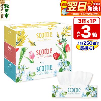ふるさと納税 秋田市 ティッシュペーパー スコッティフラワーボックス 250組 3箱×1|15_nsc-060101