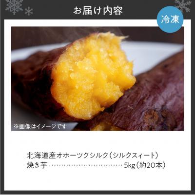 ふるさと納税 札幌市 焼き芋　北海道産 緑夢ファーム 寺町さんのオホーツクシルク 5kg_hs274-008_3