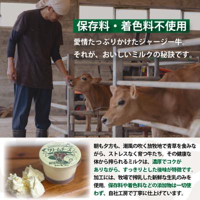 ふるさと納税 石垣市 F-2 まぁじゅん牧場の チーズ\u0026ヨーグルトセット_1