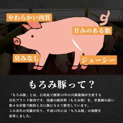 ふるさと納税 石垣市 【5回定期便】もろみ豚 お惣菜定期便_3