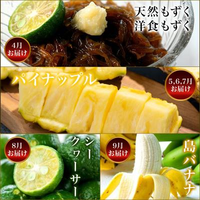 ふるさと納税 石垣市 【12回定期便】石垣島の特産品 バラエティ定期便_2