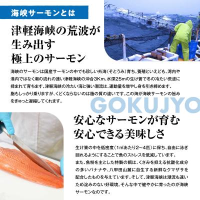 ふるさと納税 むつ市 【期間限定発送】海峡サーモン特選切身セット8切(4種8点)_1