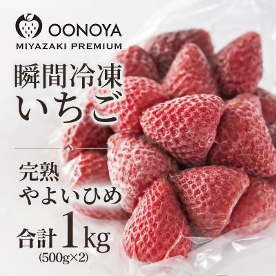 ふるさと納税 西都市 苺大野屋「やよいひめ」完熟瞬間冷凍苺 冷凍いちご宮崎県西都市産[3228]