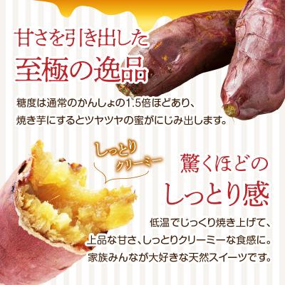 ふるさと納税 大分市 焼芋「甘太くん」ひみつの黄蜜芋 6袋_F02013の画像