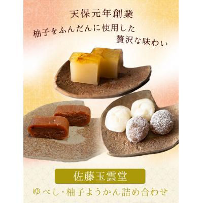 ふるさと納税 矢掛町 ゆべし・柚子ようかん詰め合わせ 柚子 ようかん 和菓子[30日以内に出荷予定(土日祝除く)]
