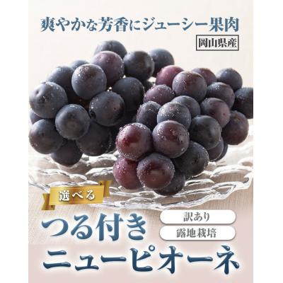 ふるさと納税 矢掛町 訳ありつる付きニューピオーネ3房530g以上[9月上旬-10月末頃出荷]配送不可地域あり