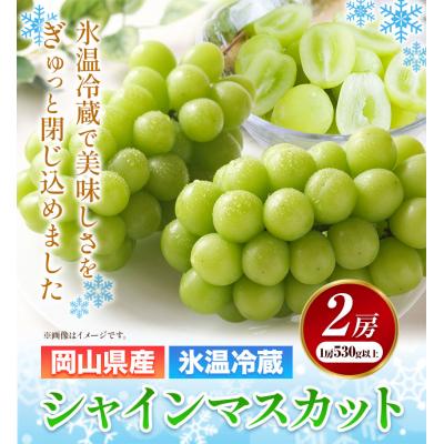 ふるさと納税 矢掛町 冷蔵シャインマスカット2房530g以上[配送不可地域あり][11月中旬-12月末頃出荷]