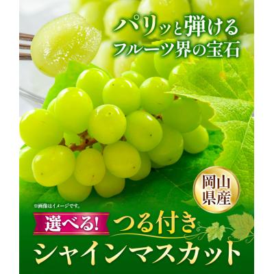 ふるさと納税 矢掛町 つる付きシャインマスカット1房680g以上配送不可地域あり[9月上旬-11月上旬頃出荷]