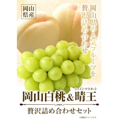 ふるさと納税 矢掛町 岡山白桃 &amp; シャインマスカット(晴王)セット小 配送不可地域あり[7月上旬-8月末頃出荷]