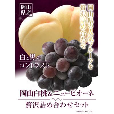 ふるさと納税 矢掛町 岡山白桃 &amp; ニューピオーネセット大[配送不可地域あり][7月上旬-8月中旬頃出荷]