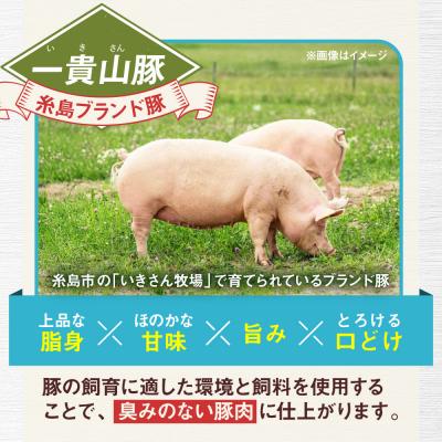 ふるさと納税 糸島市 【全6回定期便】一貴山 豚ロース 味噌漬け 6枚 糸島市 / いきさん牧場 [AGB020]_2
