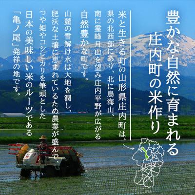 ふるさと納税 庄内町 【新米受付】U米MON 雪若丸 5kg【10月より順次発送】_3