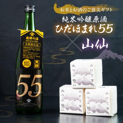 ふるさと納税 下呂市 純米吟醸原酒 ひだほまれ55 720ml 1本・山仙キューブ米300g×3個セット[2-48]