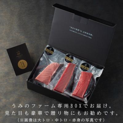 ふるさと納税 大月町 国産 育てる本鮪 赤身600g 刺身用 凝結 柵 差し上げ物 差し上げる 出どころ直送 海鮮丼 弥助 御歳暮