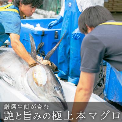 ふるさと納税 大月町 国産 育てる本鮪 赤身600g 刺身用 凝結 柵 差し上げ物 差し上げる 出どころ直送 海鮮丼 弥助 御歳暮