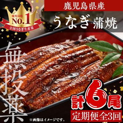 ふるさと納税 曽於市 [3回定期]鹿児島県産うなぎ蒲焼2尾×3回