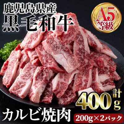 ふるさと納税 曽於市 A5等級鹿児島県産黒毛和牛カルビ焼肉400g