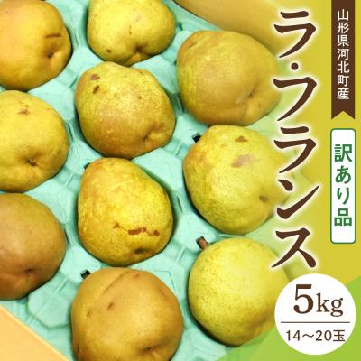 ふるさと納税 河北町 [訳あり令和7年産] 洋梨 ラフランス 5kg 山形県河北町産[山形eLab]