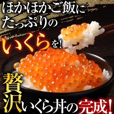 ふるさと納税 根室市 甘塩紅鮭5切×5P、いくら醤油漬け100g×3P F-30003の画像
