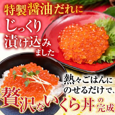 ふるさと納税 根室市 甘塩紅鮭5切×5P、いくら醤油漬け100g×3P F-36003の画像