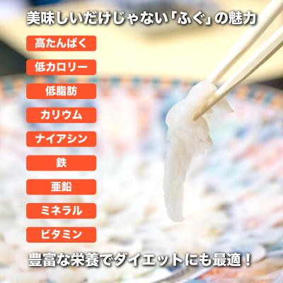 ふるさと納税 下関市 ふぐ刺し身・ちり鍋 家族だんらんセット 2人前 FG003_3