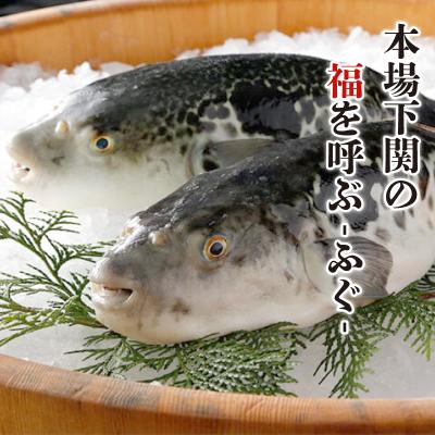 ふるさと納税 下関市 ふぐ漬け丼 海鮮丼 お茶漬け 3人前  FG012-x