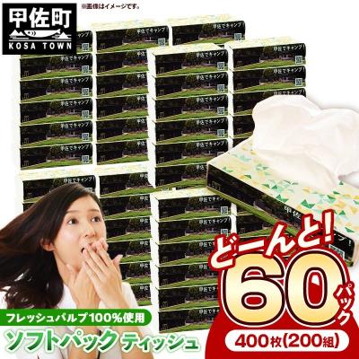 ふるさと納税 甲佐町 ティッシュペーパーソフトパック 400枚(200組)60