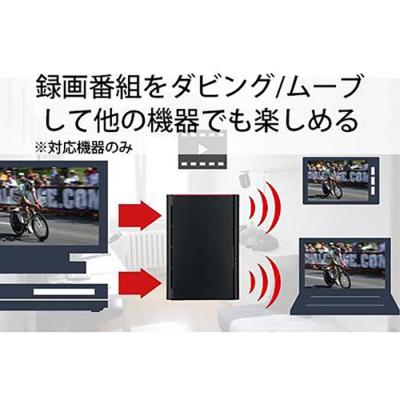 ふるさと納税 名古屋市 BUFFALO  リンクステーション RAID機能対応 ネットワーク対応HDD(12TB)の画像
