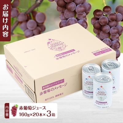 ふるさと納税 羽後町 赤葡萄ジュース「sonomama」(160g×20本)×3箱[No.5325-0351]の画像