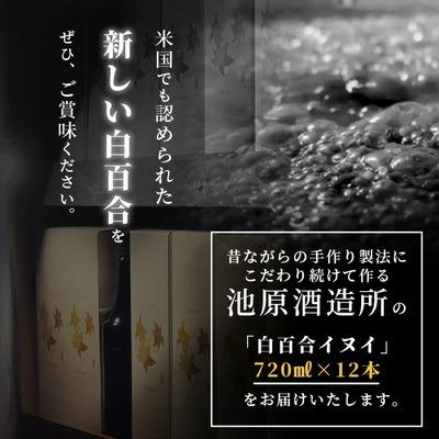 ふるさと納税 石垣市 IK-8 池原酒造 白百合イヌイ 720ml 44度 12本セット_3