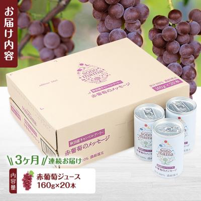 ふるさと納税 羽後町 《定期便3ヵ月》赤葡萄ジュース「sonomama」(160g×20本)[No.5325-0360]の画像